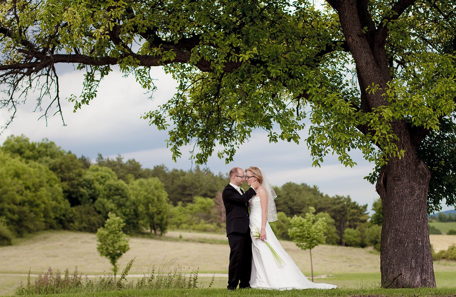 romantisches Hochzeitsbild unter einem Baum