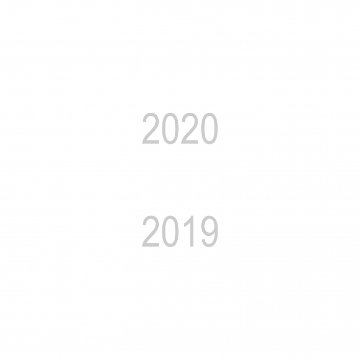 2020_2019