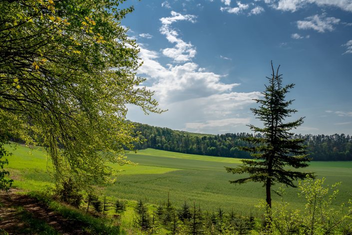 unterwegs auf dem Thüringer Drei-Türme-Weg