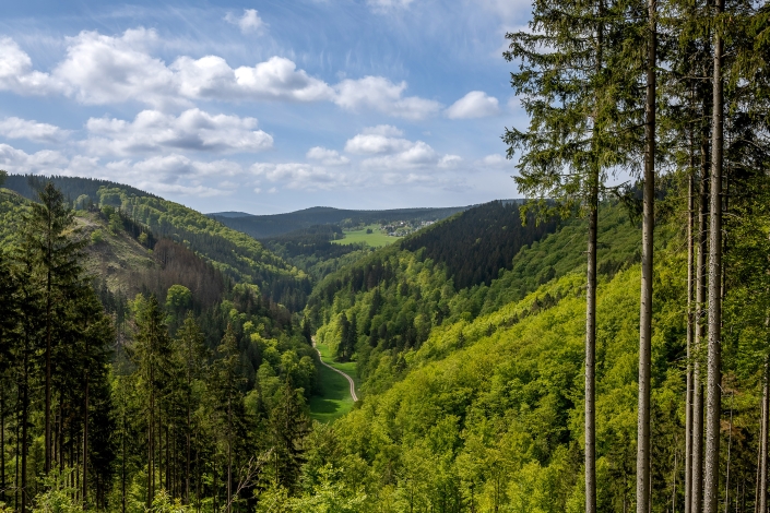 schöne Aussicht über das Tal der zahmen Gera, im Hintergrund ist Gehlberg zu erkennen Canon EOS R62 & EF 35mm F1.4